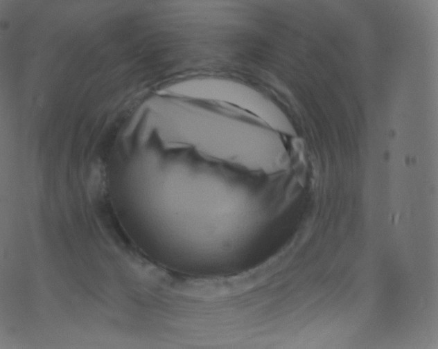 X0000073460029200608251743