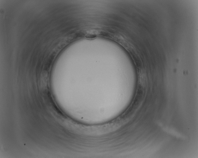 X0000073460030200608251743