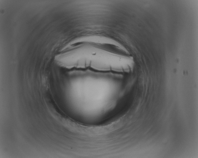 X0000073460031200608251743