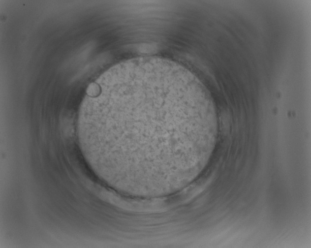 X0000073460032200608251743