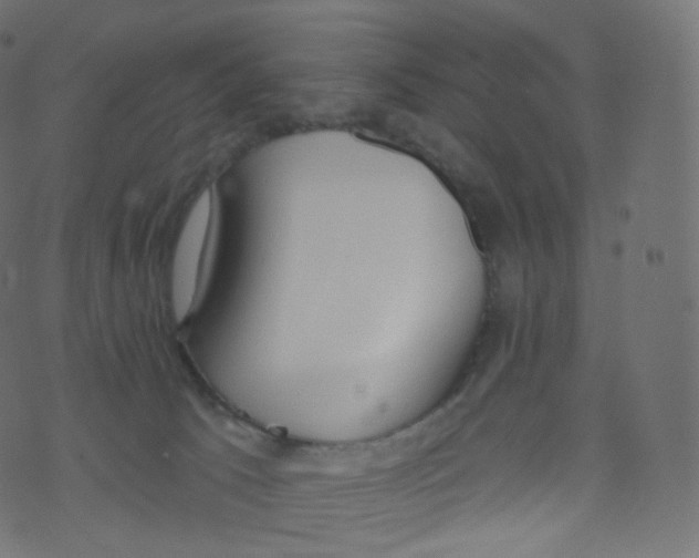 X0000073460033200608251743