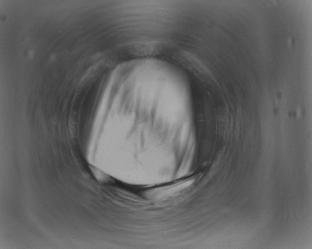 X0000073460035200608251743