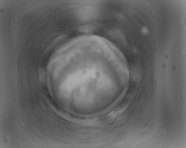 X0000073460036200608251743