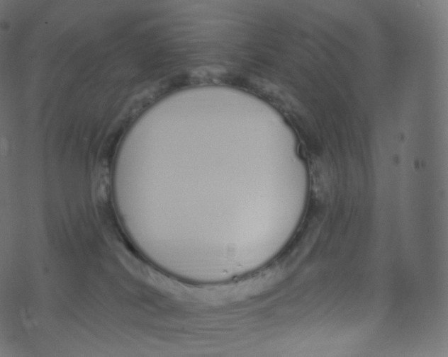 X0000073460038200608251743