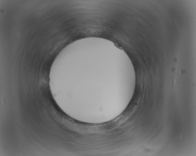 X0000073460040200608251743