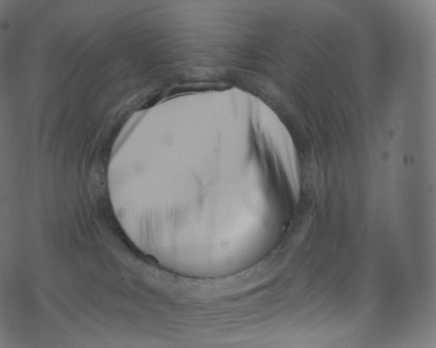 X0000073460043200608251743