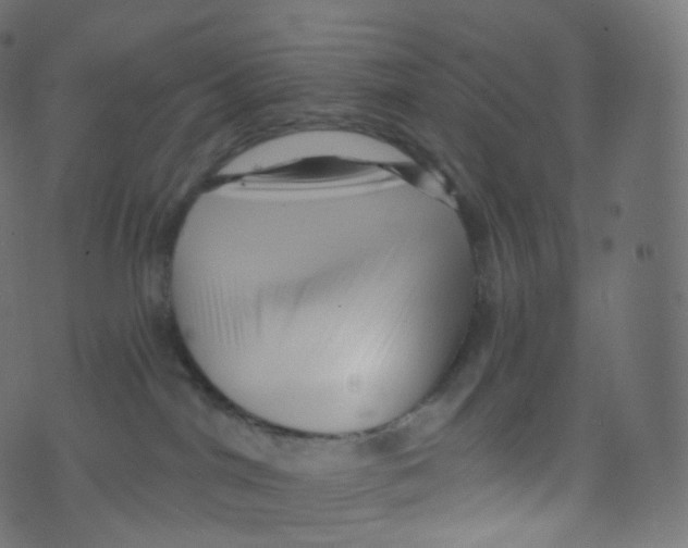 X0000073460044200608251743