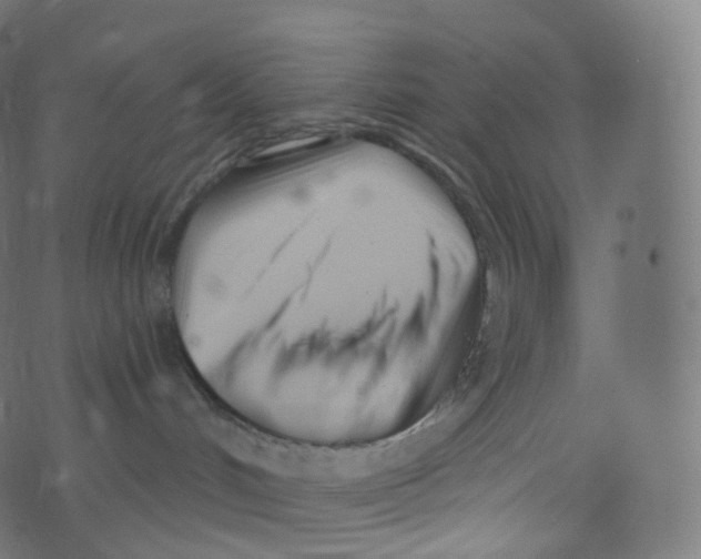 X0000073460048200608251743