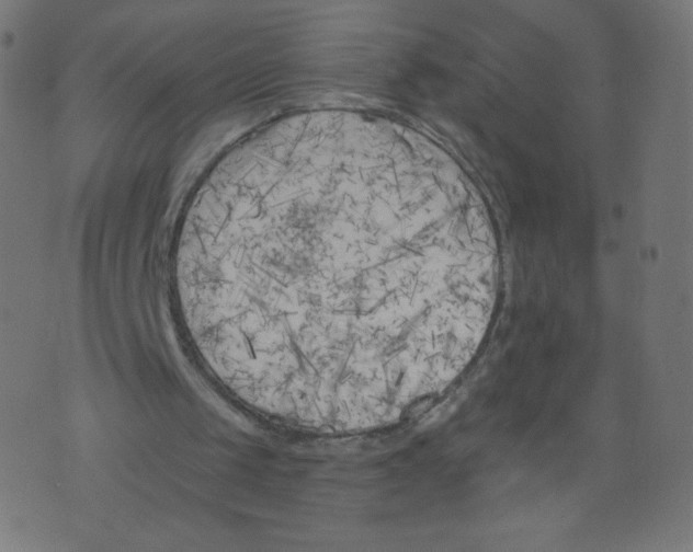 X0000073460049200608251742