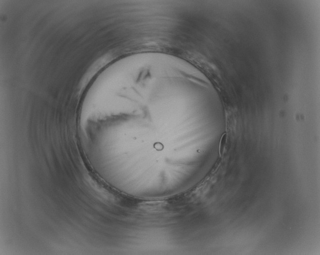 X0000073460051200608251742