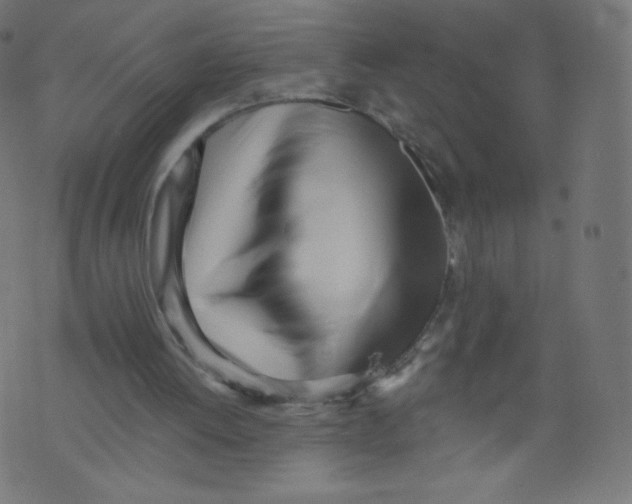 X0000073460052200608251742