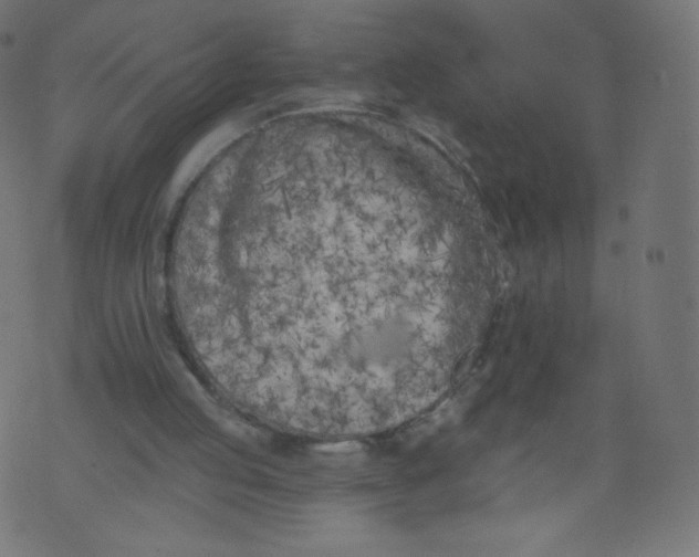 X0000073460053200608251742