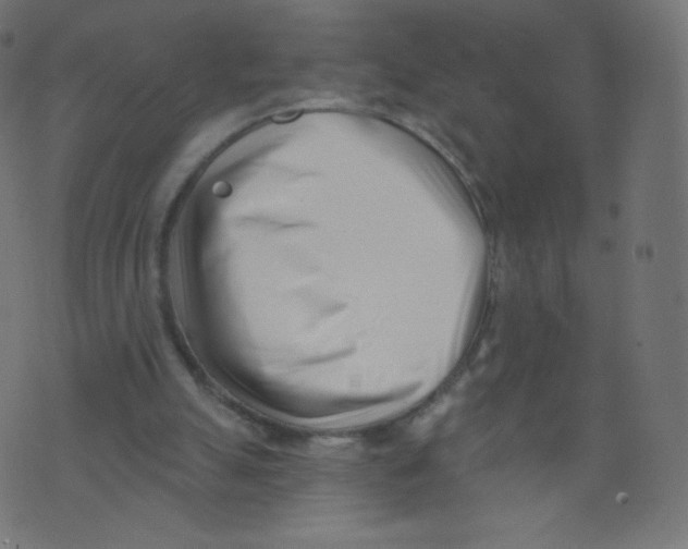 X0000073460055200608251742