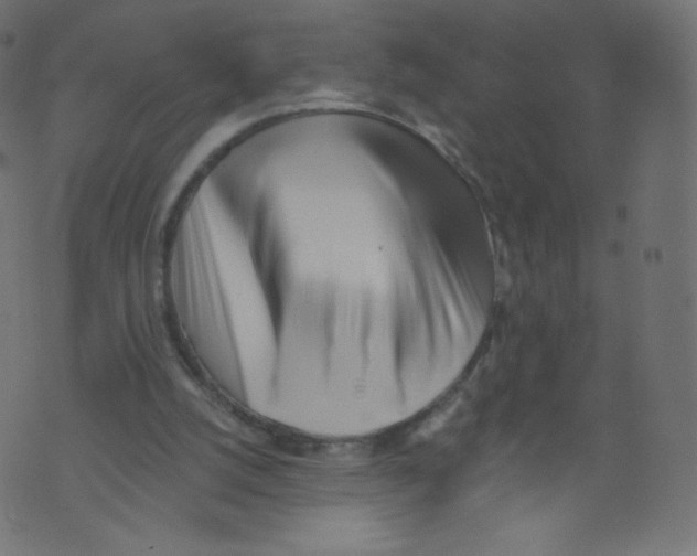 X0000073460056200608251742