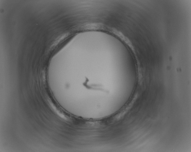 X0000073460057200608251742