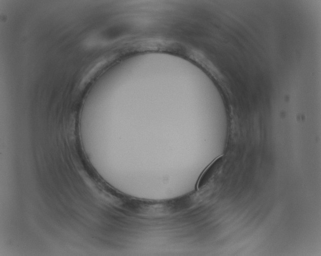 X0000073460058200608251742