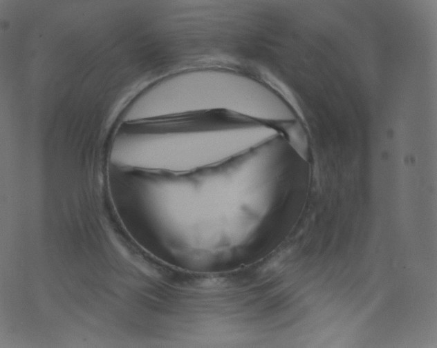 X0000073460059200608251742