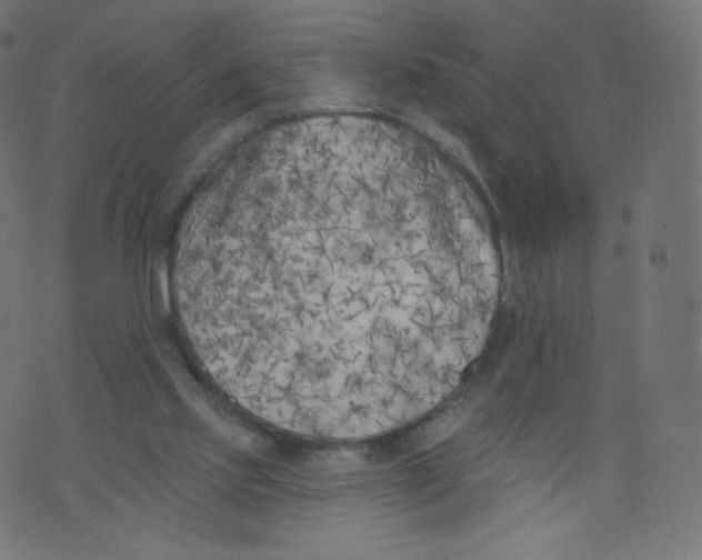 X0000073460061200608251742