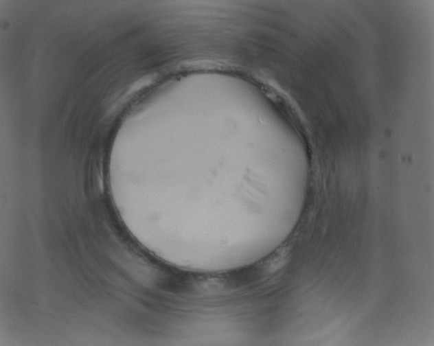 X0000073460062200608251742