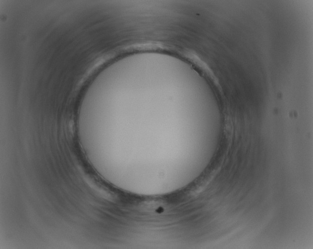 X0000073460063200608251742