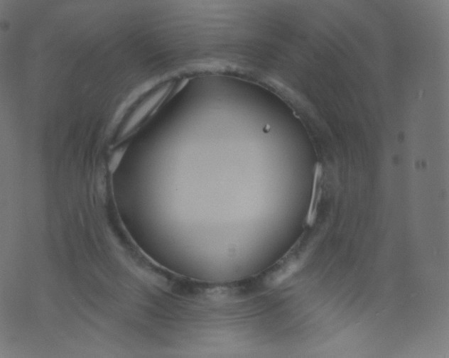 X0000073460064200608251742