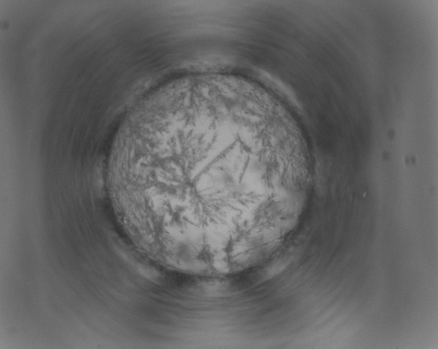 X0000073460065200608251742