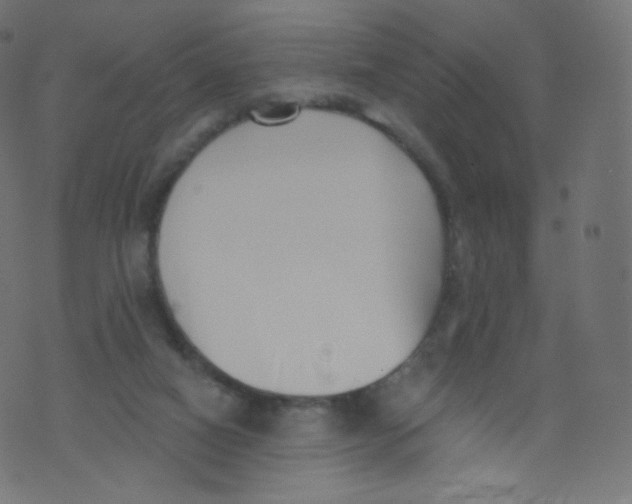 X0000073460066200608251742