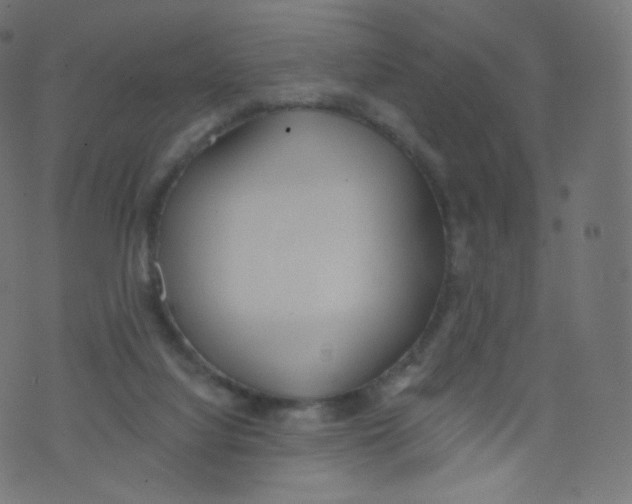 X0000073460068200608251742