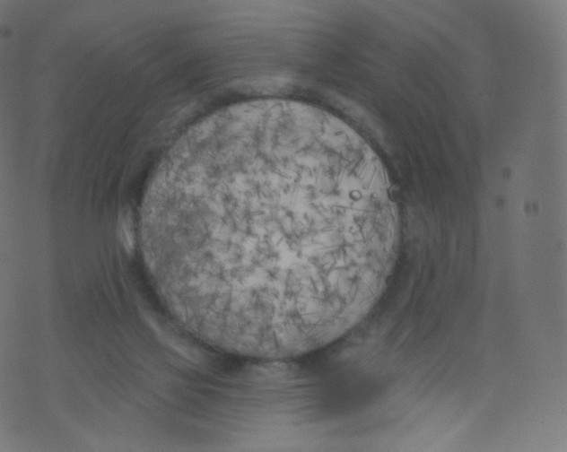 X0000073460069200608251742