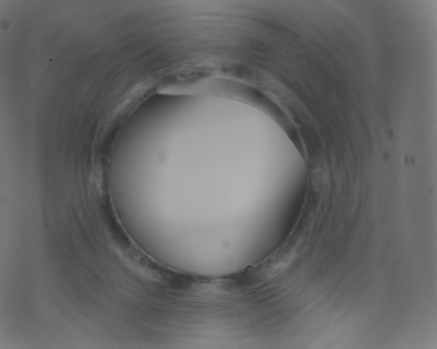 X0000073460072200608251742