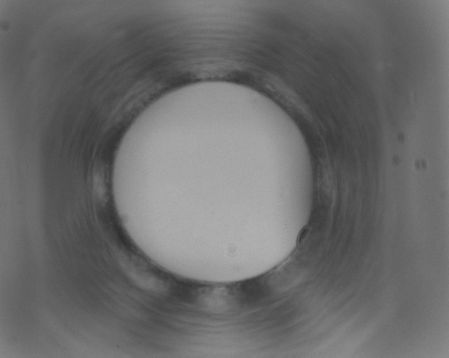 X0000073460074200608251742