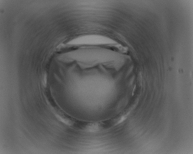 X0000073460076200608251742