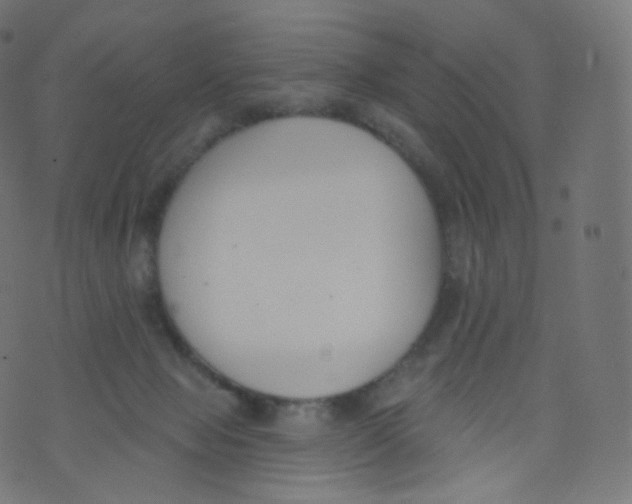 X0000073460077200608251742