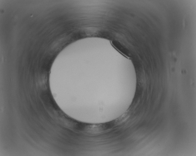 X0000073460082200608251742