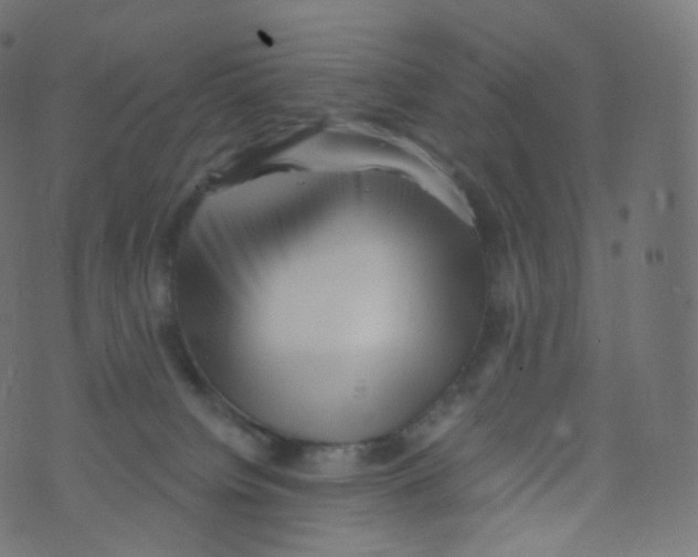 X0000073460084200608251742