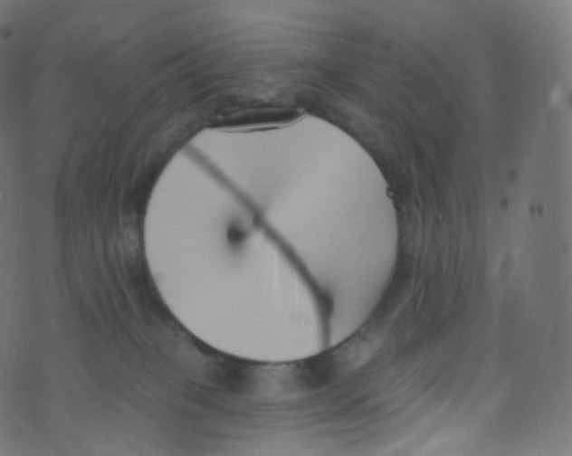 X0000073460085200608251742