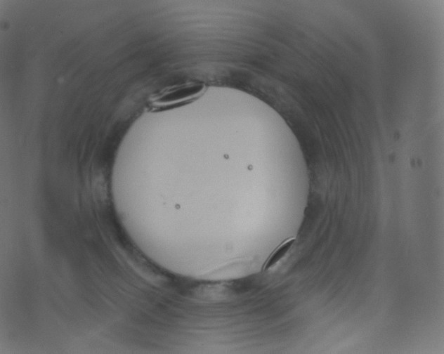 X0000073460086200608251742