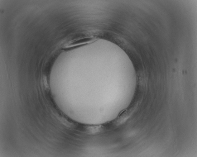 X0000073460089200608251742