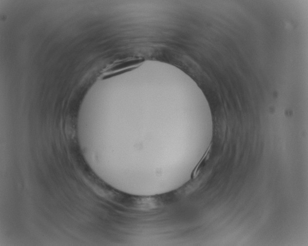 X0000073460091200608251742