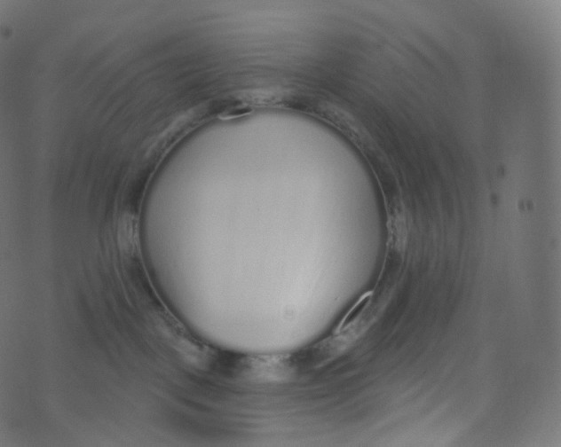 X0000073460093200608251743