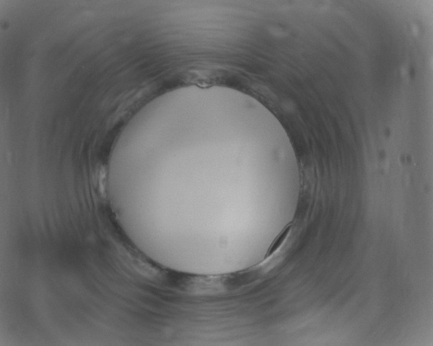 X0000073460094200608251743