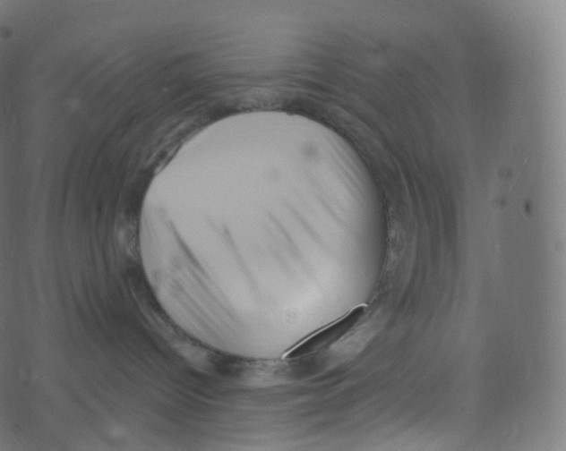 X0000073460096200608251743