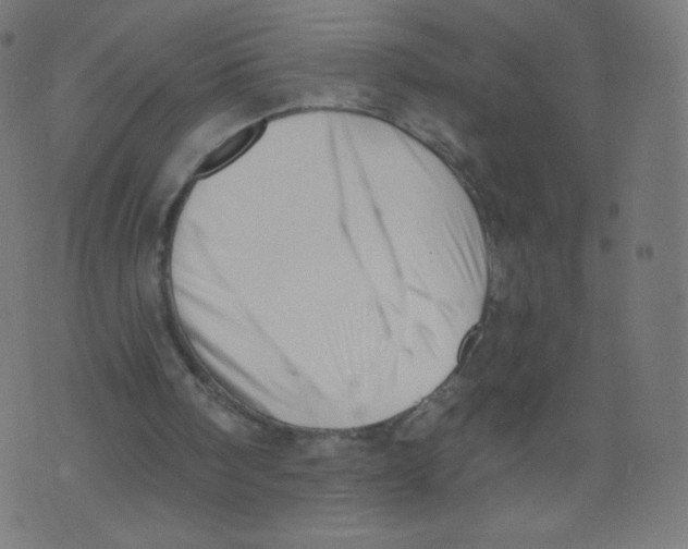 X0000073460098200608251742