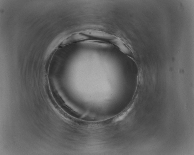 X0000073460101200608251742