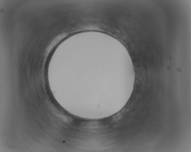 X0000073460104200608251742