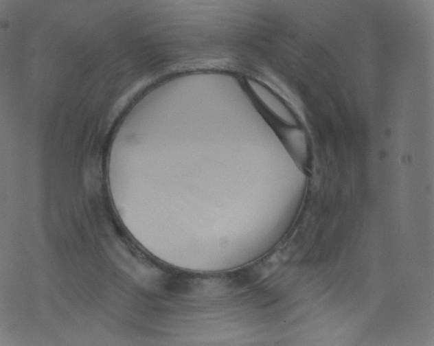 X0000073460107200608251742