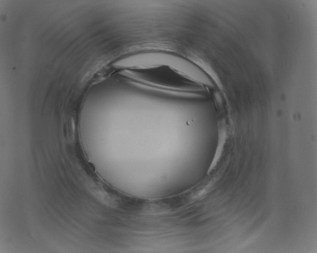 X0000073460109200608251742