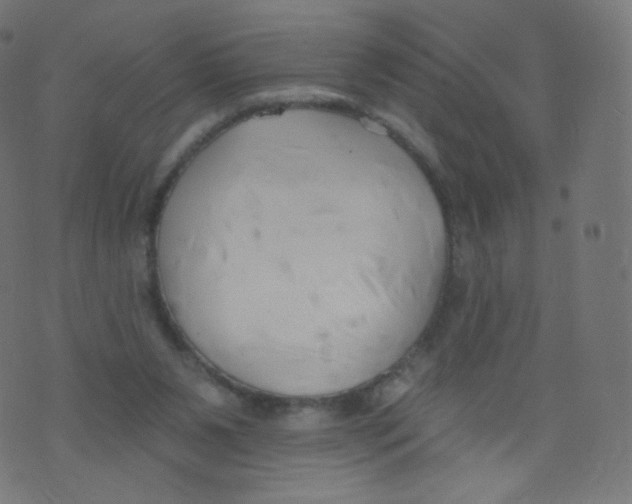 X0000073460111200608251742