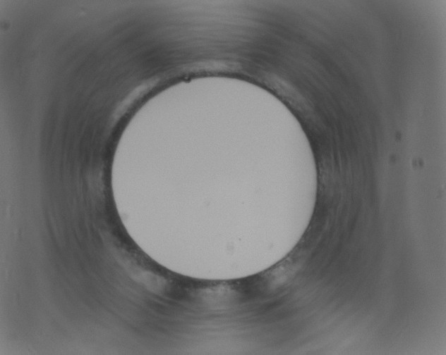 X0000073460112200608251742