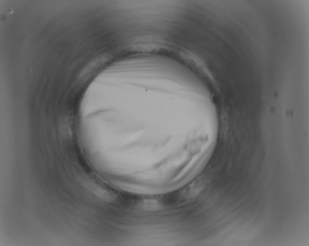 X0000073460114200608251742